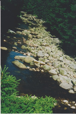 antygl 008