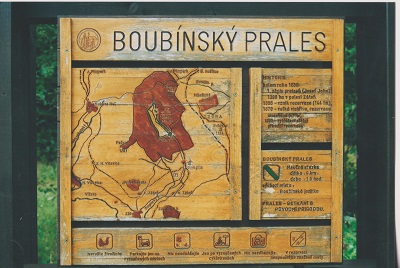 toulky 006