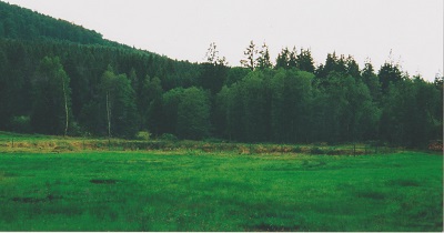 toulky 008