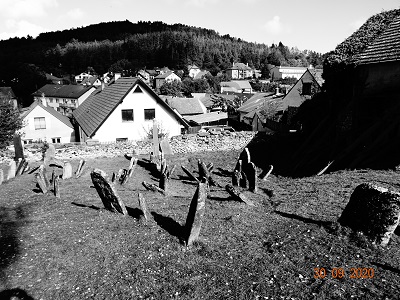 DSC00164