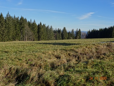 DSC00516