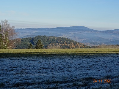 DSC00517
