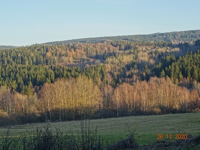 DSC00679