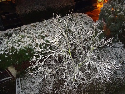 DSC00886