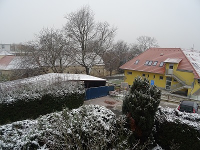 DSC00926