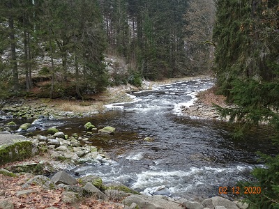 DSC00978