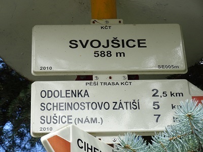DSC02348