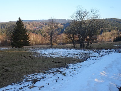 DSC05198