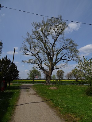 DSC05945