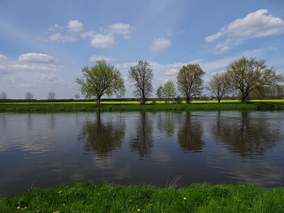 DSC05947