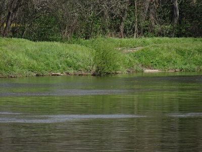 DSC05950
