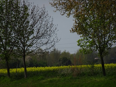 DSC05951