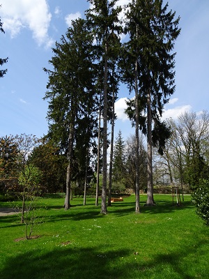 DSC05963