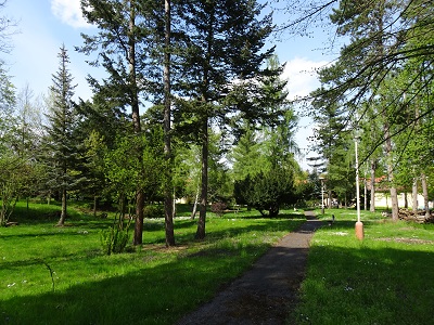 DSC05988