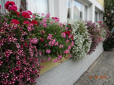 DSC06976