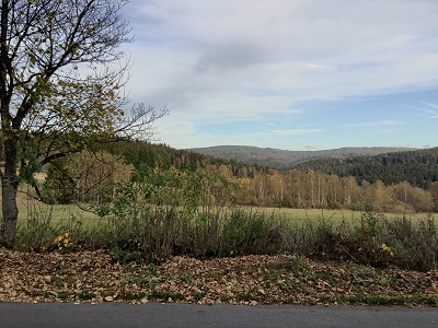 FOTKY Z IPHONU 2019 086