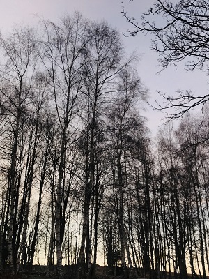 FOTKY Z IPHONU 2019 526