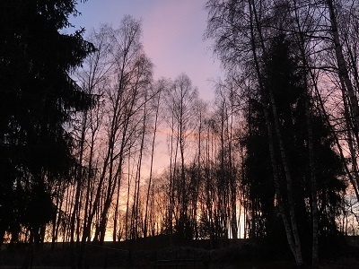 FOTKY Z IPHONU 2019 562
