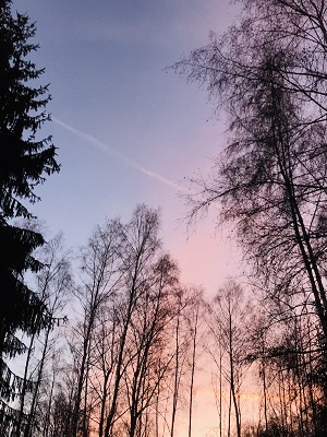 FOTKY Z IPHONU 2019 574
