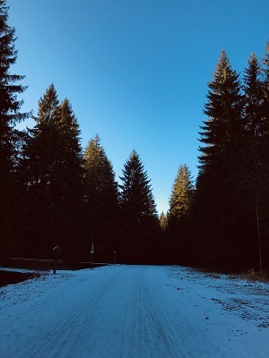 FOTKY Z IPHONU 2019 607