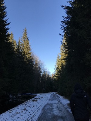 FOTKY Z IPHONU 2019 627