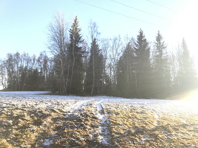 FOTKY Z IPHONU 2019 666