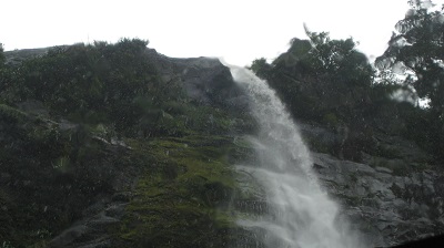 IMG 0156