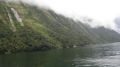 IMG 0195