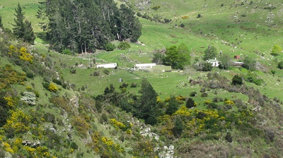 IMG 9987