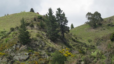 IMG 9994