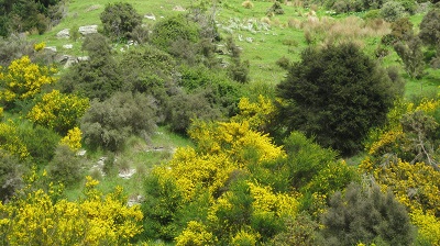 IMG 9996