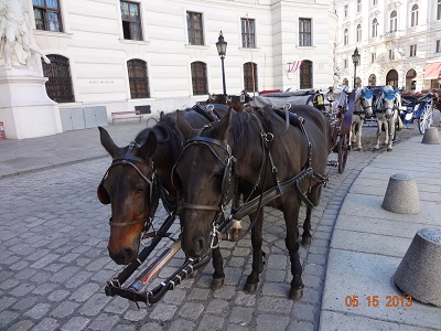 IVANOVA FOTA 2011 2013 372
