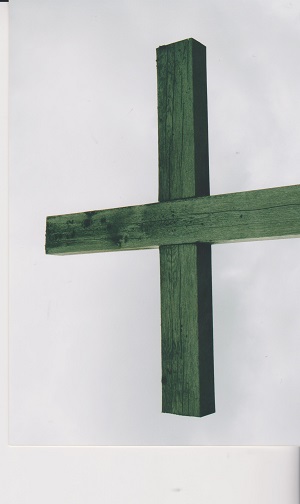 LUZNY 002