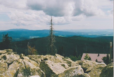 LUZNY 005