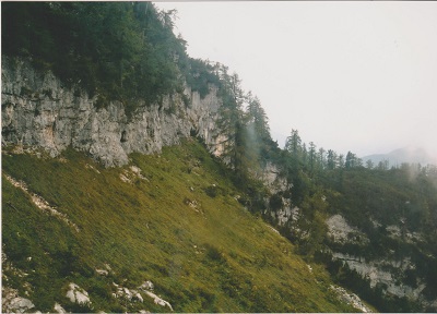 dachstein 7