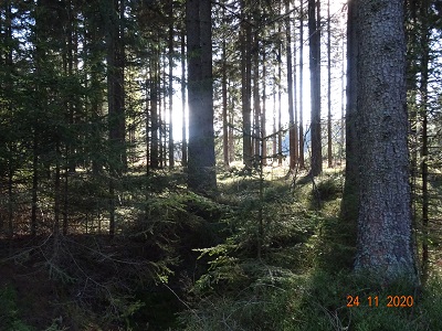 DSC00541