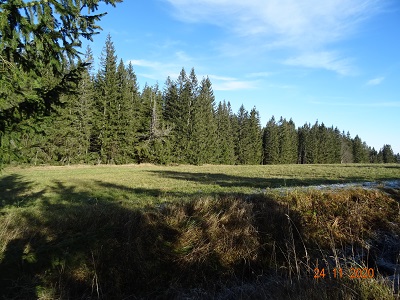 DSC00544