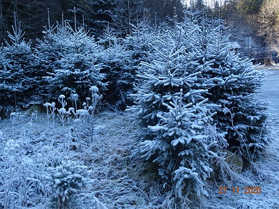 DSC00683