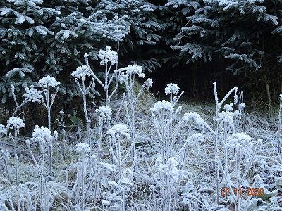 DSC00685