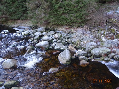 DSC00778