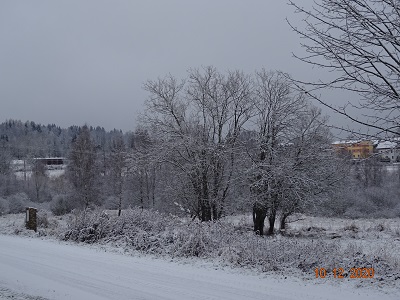 DSC01039