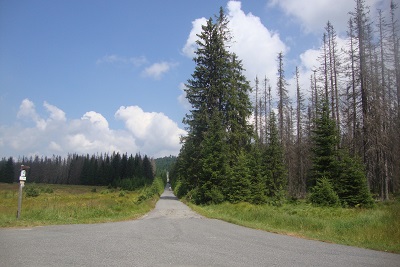 DSC01108