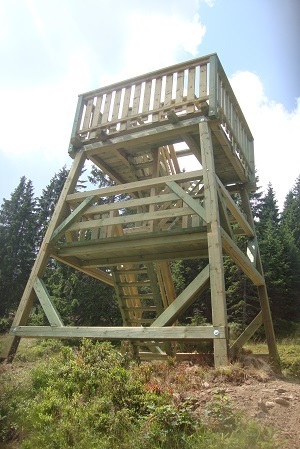 DSC01115