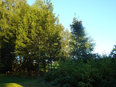 DSC03158