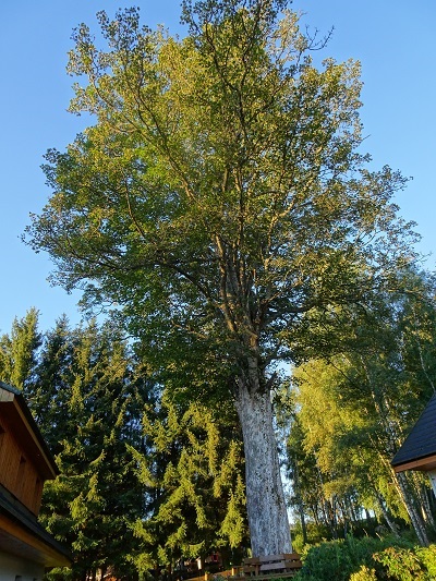 DSC03159