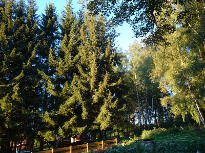 DSC03165