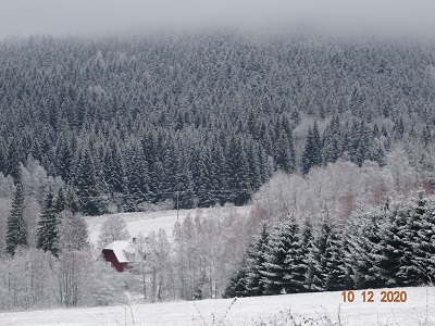 DSC01025