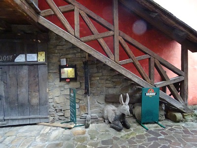 DSC01901 1
