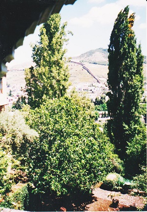 granada 023