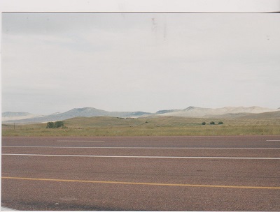 Elk 004